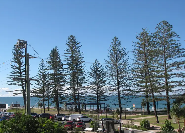 Second view of Homely unit listing, 10/174 'Mandolin', Alexandra Parade, Alexandra Headland QLD 4572