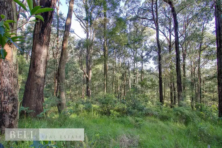 LOT 36 Mountain Road, Cockatoo VIC 3781