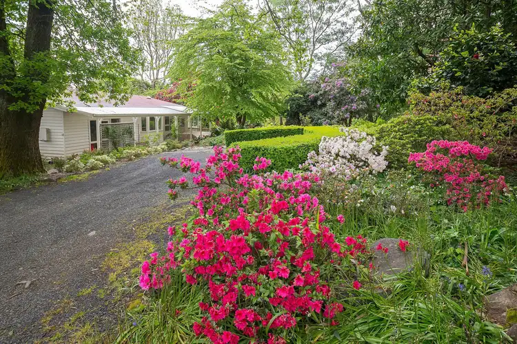 Second view of Homely house listing, 20 Old Coonara Road, Olinda VIC 3788