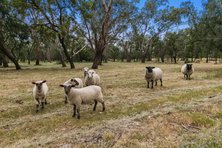 Third view of Homely rural property listing, 210 Bungower Road, Moorooduc VIC 3933