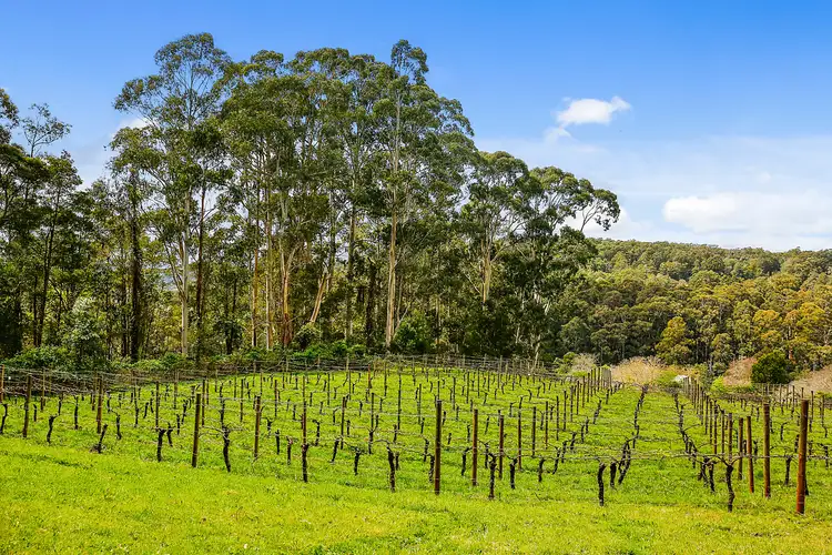 Fifth view of Homely land listing, 785 Gembrook-Launching Place Road, Hoddles Creek VIC 3139