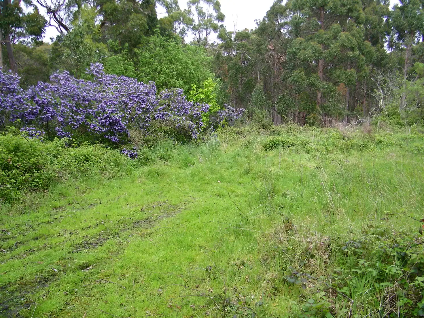 Main view of Homely land listing, 999 Nubeena Road, Premaydena TAS 7185