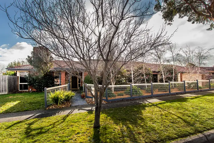 Main view of Homely house listing, 19 Farmillo Court, Lysterfield VIC 3156