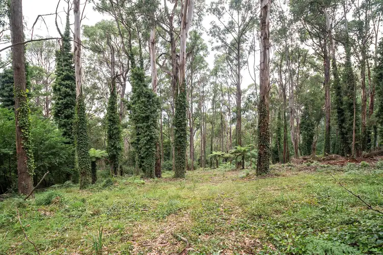 Third view of Homely land listing, 15 Olinda Creek Road, Kalorama VIC 3766