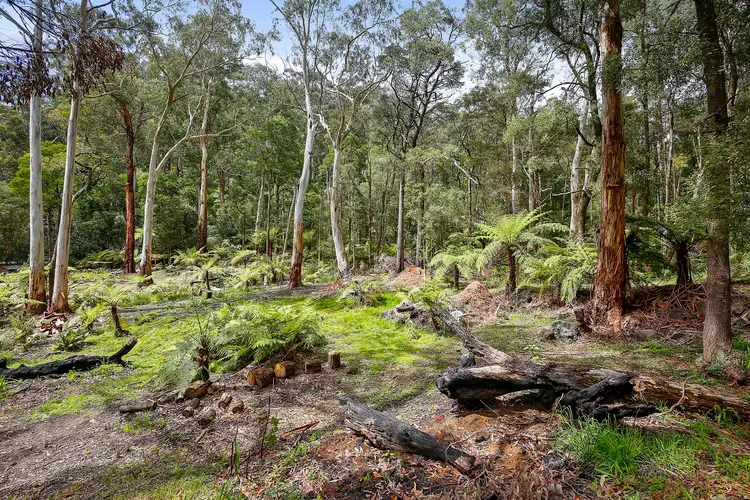 3 Old Warburton Road, Warburton VIC 3799