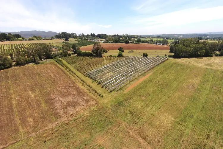 Fourth view of Homely house listing, 46 Hunter Road, Wandin North VIC 3139