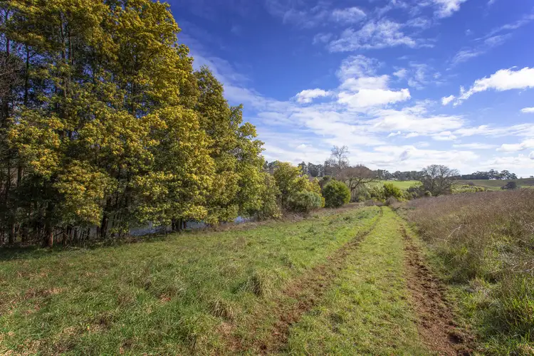 Sixth view of Homely rural property listing, 275 Mountain Road, Gembrook VIC 3783