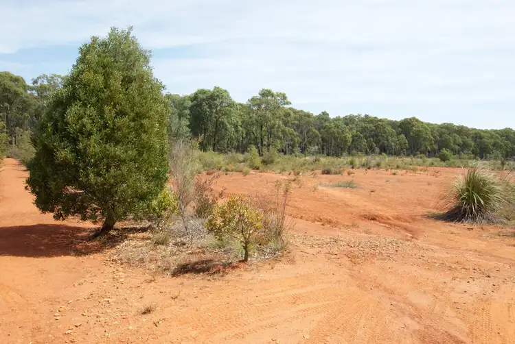 Seventh view of Homely land listing, 1555 Gembrook-Launching Place Road, Beenak VIC 3139