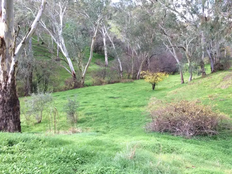 Seventh view of Homely rural property listing, 93a Taylor Road, Humbug Scrub SA 5114