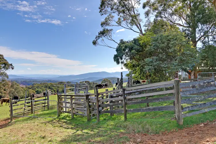Second view of Homely house listing, 330 Thonemans Road, Hoddles Creek VIC 3139