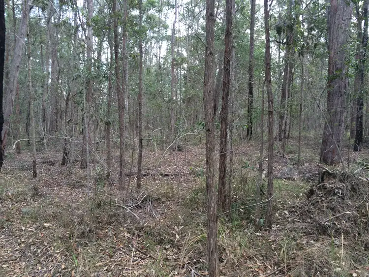 Second view of Homely rural property listing, Lot 44 Pacific Highway, New Italy NSW 2472