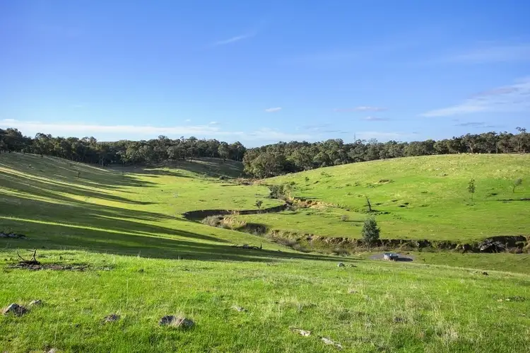 Fifth view of Homely land listing, 351 Yandoit-Werona Road, Yandoit VIC 3461
