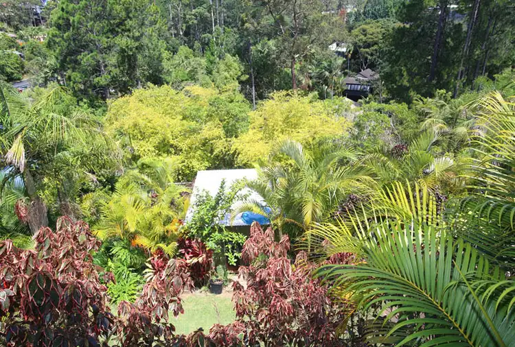 Sixth view of Homely house listing, 15 Fern Tree Place, Korora NSW 2450