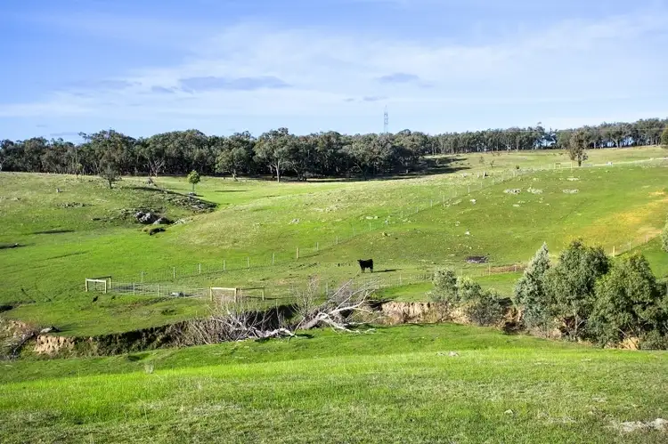 Sixth view of Homely land listing, 351 Yandoit-Werona Road, Yandoit VIC 3461