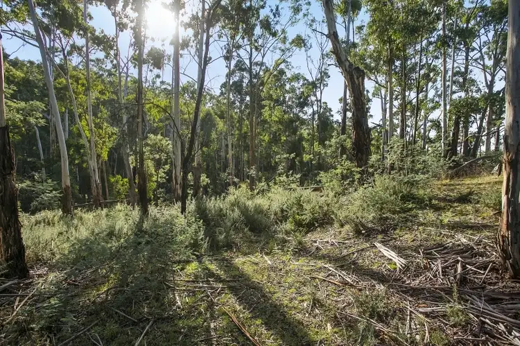 Fourth view of Homely land listing, 4260 Midland Highway, Daylesford VIC 3460