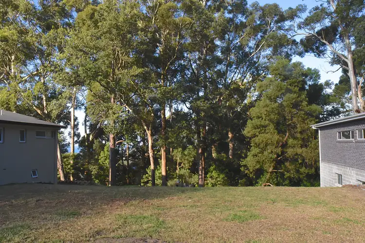 48 Armagh Parade, Thirroul NSW 2515