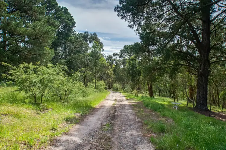 Fourth view of Homely house listing, 139 Mt Morton Road, Belgrave Heights VIC 3160