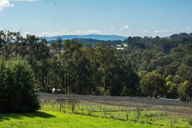 Second view of Homely rural property listing, 15 Blueberry Lane, Monbulk VIC 3793