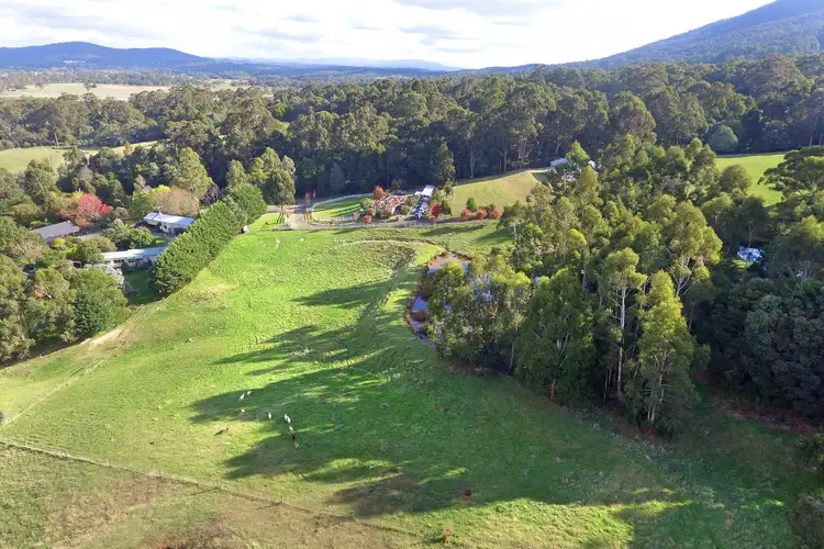 Main view of Homely house listing, 40 Sherriff Close, Millgrove VIC 3799