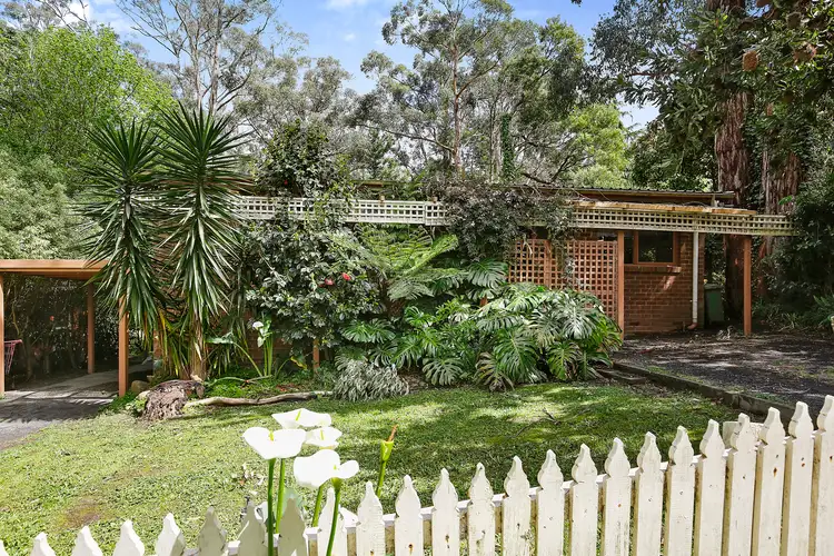 50 Wonga Road, Millgrove VIC 3799