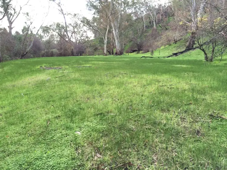 Sixth view of Homely rural property listing, 93a Taylor Road, Humbug Scrub SA 5114