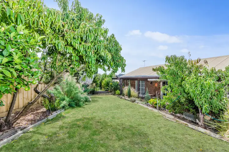 Fourth view of Homely house listing, 31 Barramundi Crescent, Ocean Grove VIC 3226