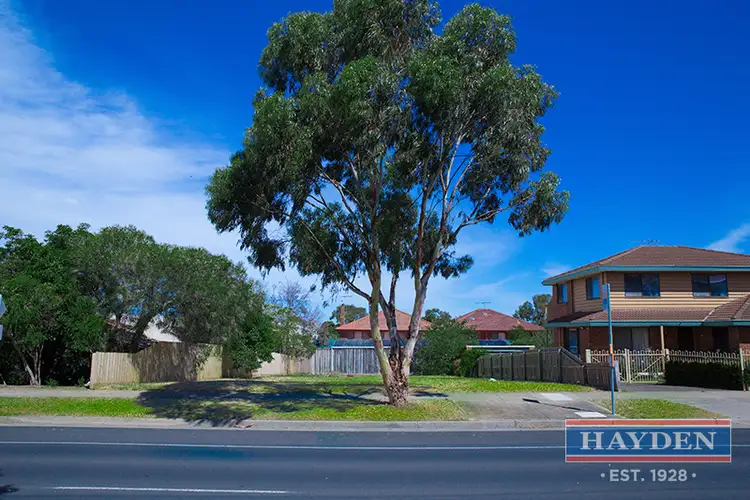 88 Fischer Street, Torquay VIC 3228