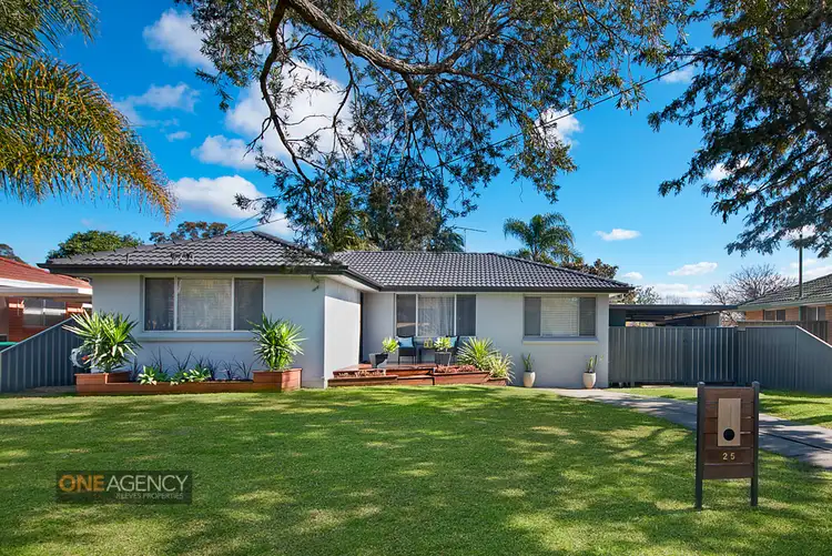 25 Carinda Drive, South Penrith NSW 2750