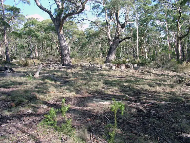 Third view of Homely rural property listing, 0 Swanston Road, Little Swanport TAS 7190