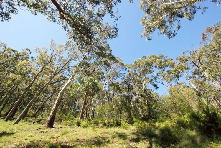 Sixth view of Homely land listing, 1 Damon Court, Millgrove VIC 3799