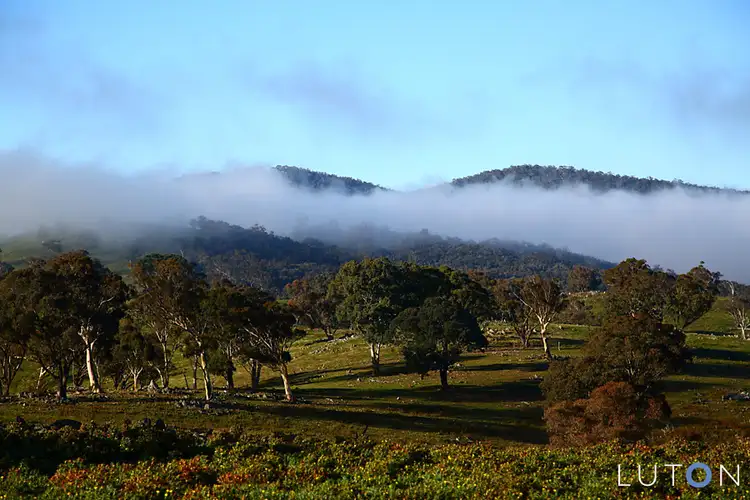 Sixth view of Homely rural property listing, 236 Burra Road, Googong NSW 2620