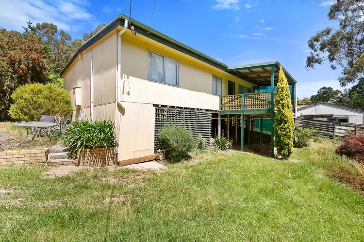 Main view of Homely house listing, 14 Hearse Road, Millgrove VIC 3799