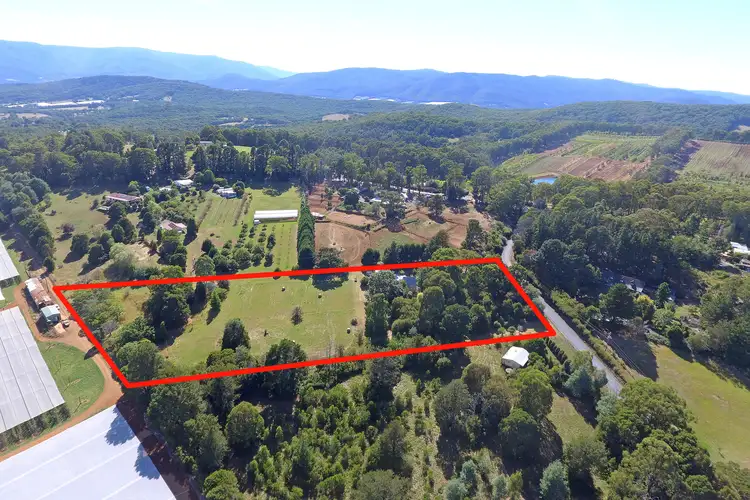 Main view of Homely house listing, 10 Willis Road, Hoddles Creek VIC 3139