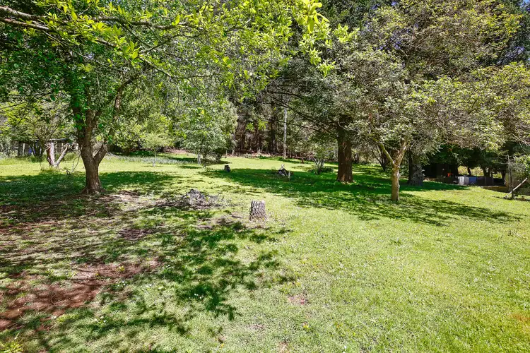 Third view of Homely house listing, 202 Big Pats Creek Road, Big Pats Creek VIC 3799