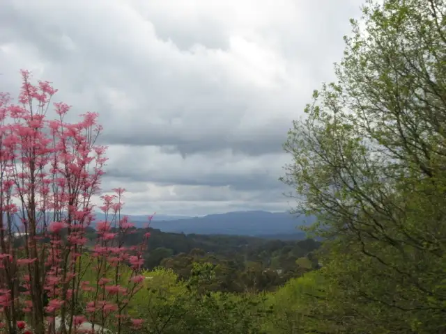 Seventh view of Homely land listing, 3 Elderberry Lane, Monbulk VIC 3793