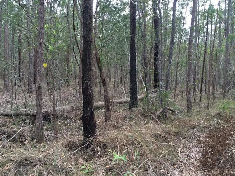 Third view of Homely rural property listing, Lot 44 Pacific Highway, New Italy NSW 2472