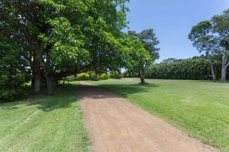 Third view of Homely rural property listing, 391 Alphadale Road, Tregeagle NSW 2480