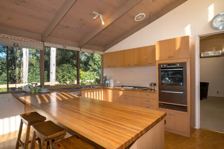 Fourth view of Homely house listing, 16 Viola Avenue, Mount Dandenong VIC 3767