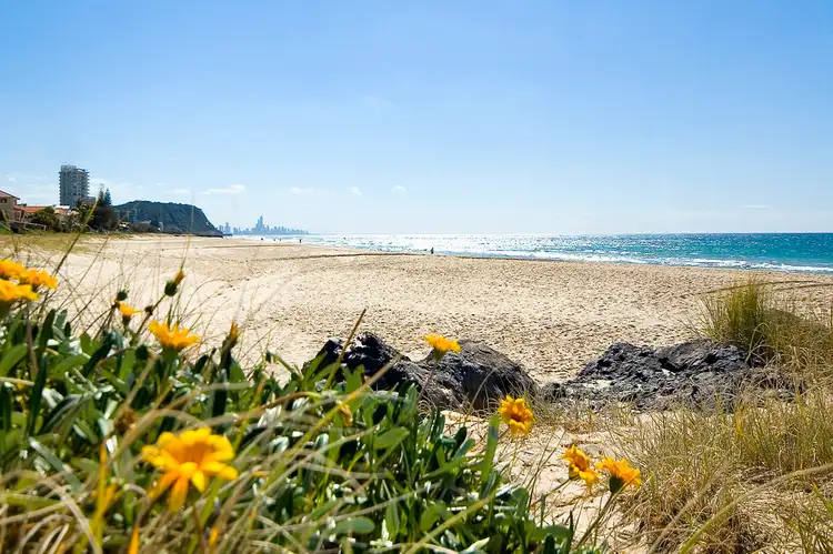 Fifth view of Homely unit listing, 6/14 Jefferson Lane, Palm Beach QLD 4221