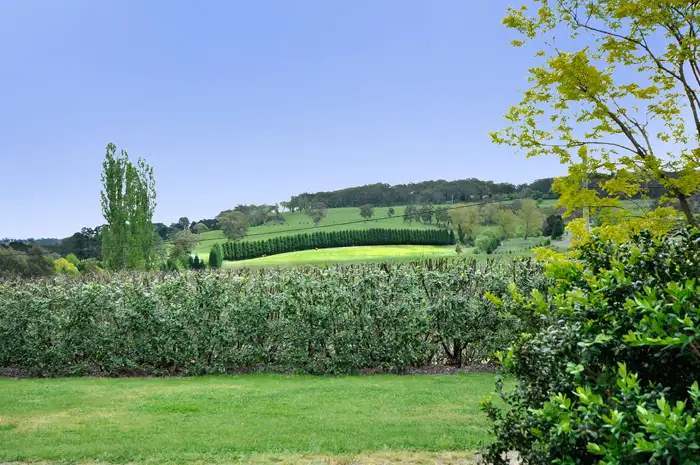 Main view of Homely house listing, 33 Railway Road, Burradoo NSW 2576