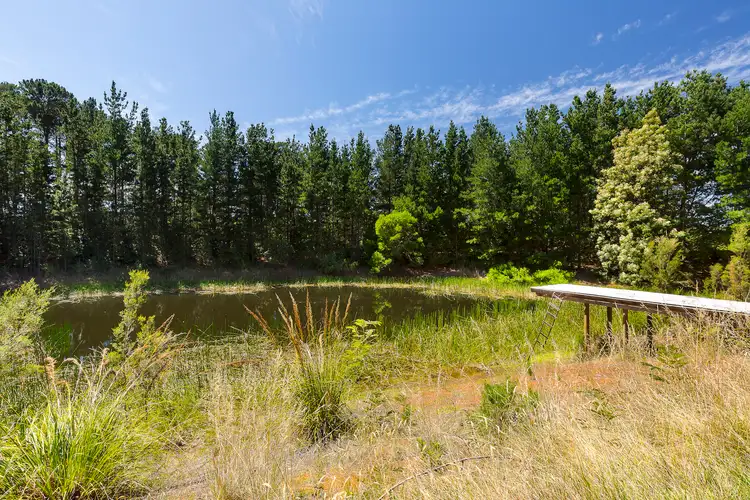 Fourth view of Homely house listing, 222 Bittern-Dromana Road, Merricks North VIC 3926