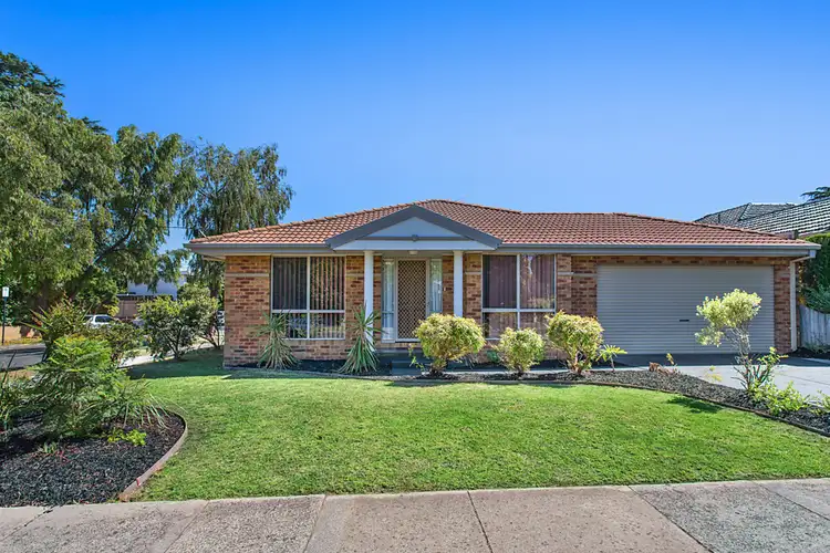 31 Winbourne Road, Mount Waverley VIC 3149