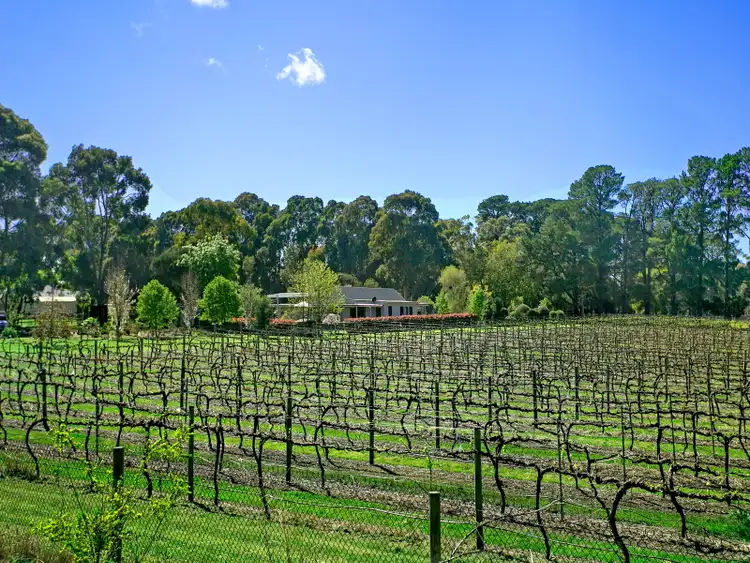 Second view of Homely house listing, 4 Shaw Road, Moorooduc VIC 3933