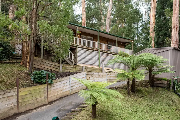 Main view of Homely house listing, 29 Kaola Street, Belgrave VIC 3160