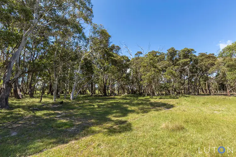 Sixth view of Homely rural property listing, 119 Wallaces Gap Road, Braidwood NSW 2622