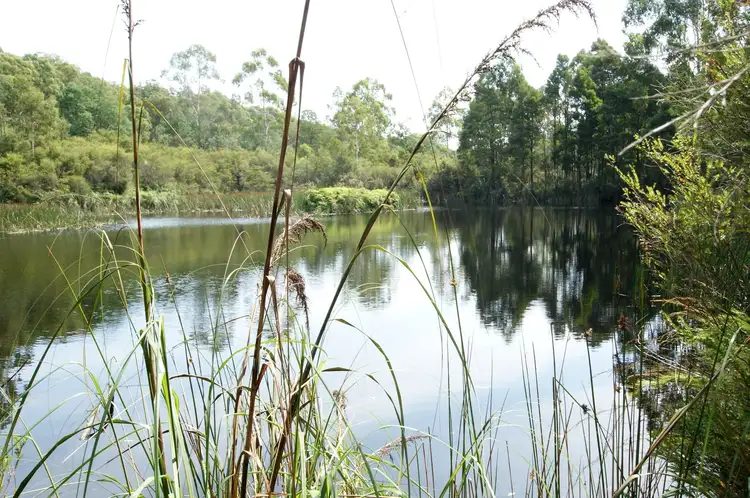 1555 Gembrook-Launching Place Road, Beenak VIC 3139