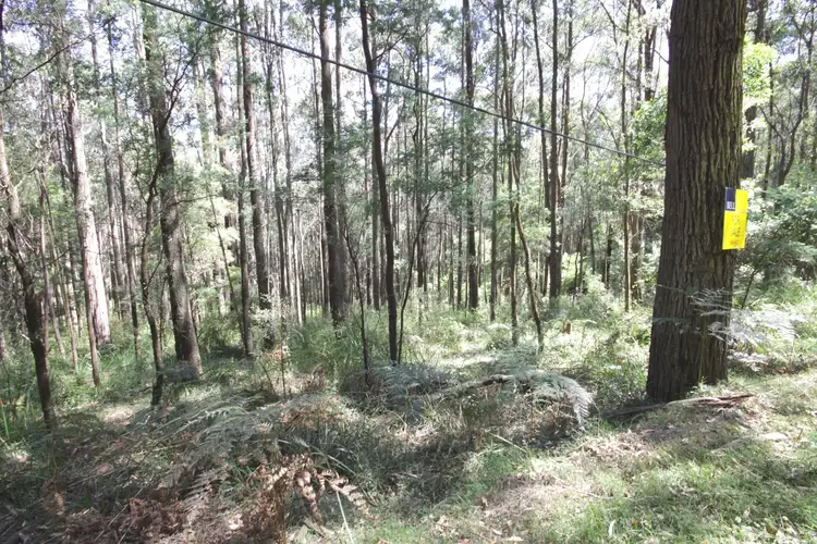 Third view of Homely land listing, LOT41 Beenak East Road, Gembrook VIC 3783