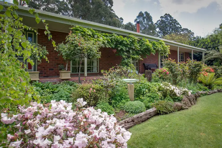 Main view of Homely house listing, 11 Campbell Avenue, Mount Dandenong VIC 3767