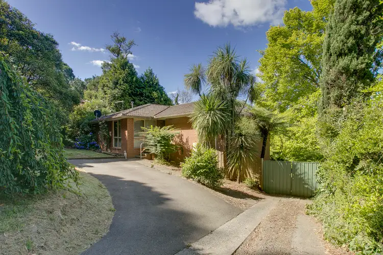 31 Hazel Street, Cockatoo VIC 3781