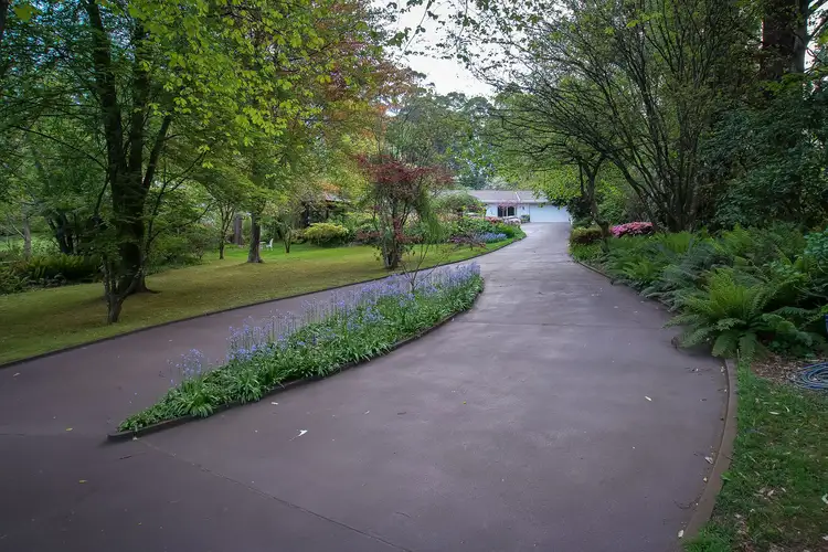 Sixth view of Homely house listing, 1464 Mount Dandenong Tourist Road, Mount Dandenong VIC 3767